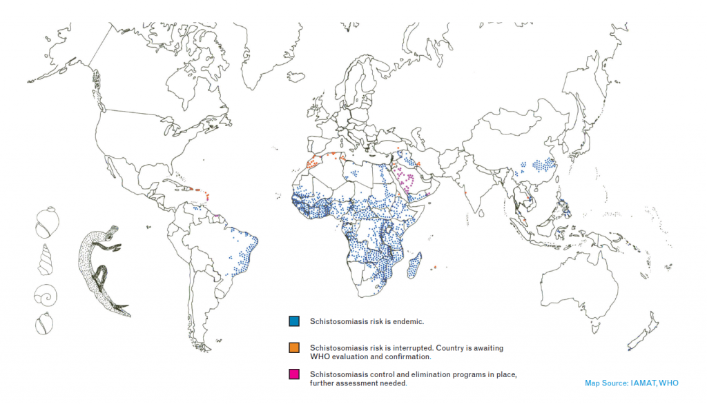 World Schistosomiasis Risk Chart